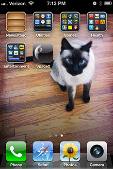 screen shot
